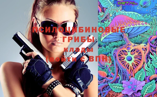 2c-b Гусь-Хрустальный