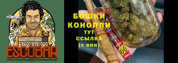 2c-b Гусь-Хрустальный