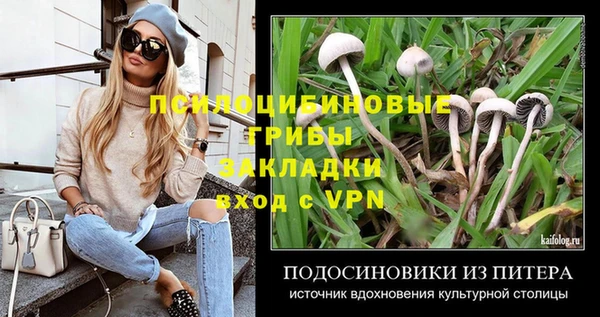 mdpv Гусев