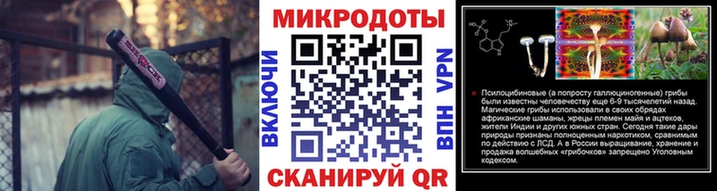 Псилоцибиновые грибы Psilocybine cubensis  OMG   Медногорск 