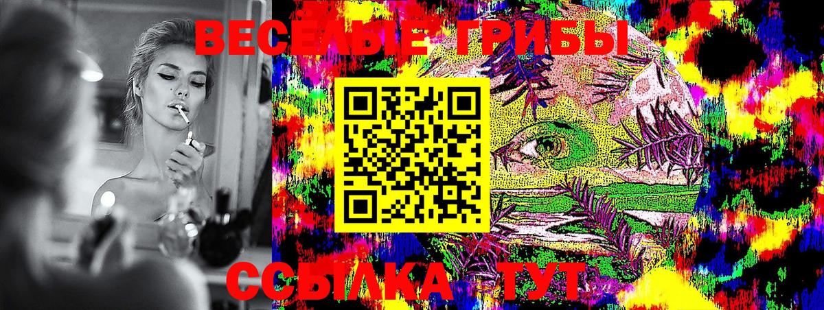 Галлюциногенные грибы GOLDEN TEACHER  Медногорск  Галлюциногенные грибы MAGIC MUSHROOMS 